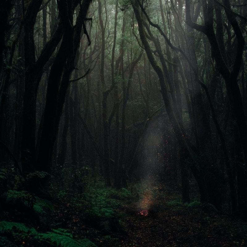 Paul Anka - It's the most wonderful time of the year