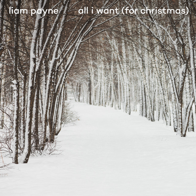 Liam Payne - All I want for Christmas