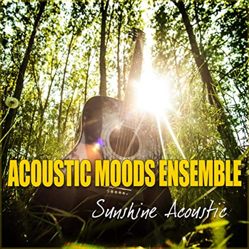Acoustic Moods - Don't Let the Sun Catch You Crying