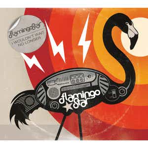 Flamingo Star - Wonderful World