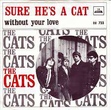 The Cats - Sure he's a cat