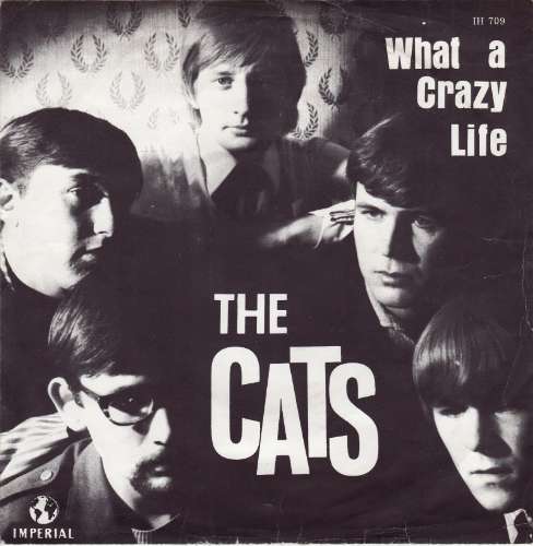 The Cats - What A Crazy Life