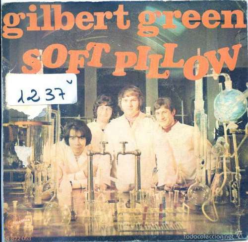Soft Pillow - Gilbert Green