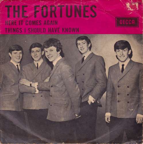 The Fortunes - Here it comes again
