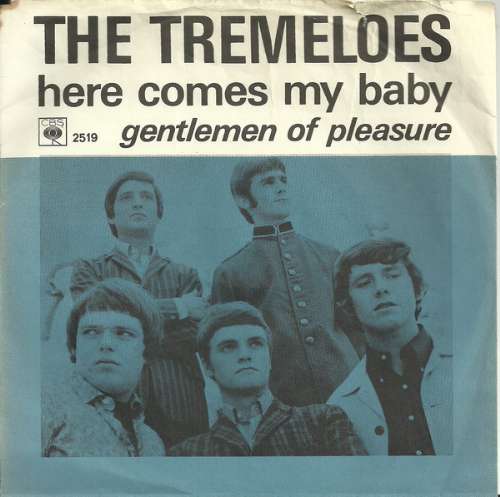 The Tremeloes - Here comes my baby
