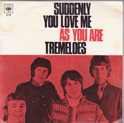 The Tremeloes - Suddenly you love me