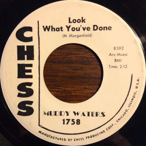 Muddy Waters - Look what you've done