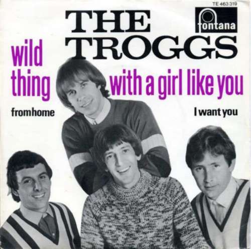 The Troggs - Wild thing