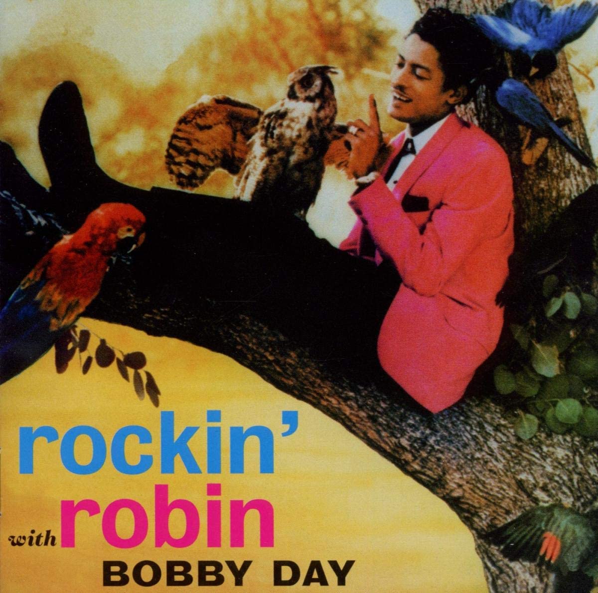 Bobby Day - Rockin' robin